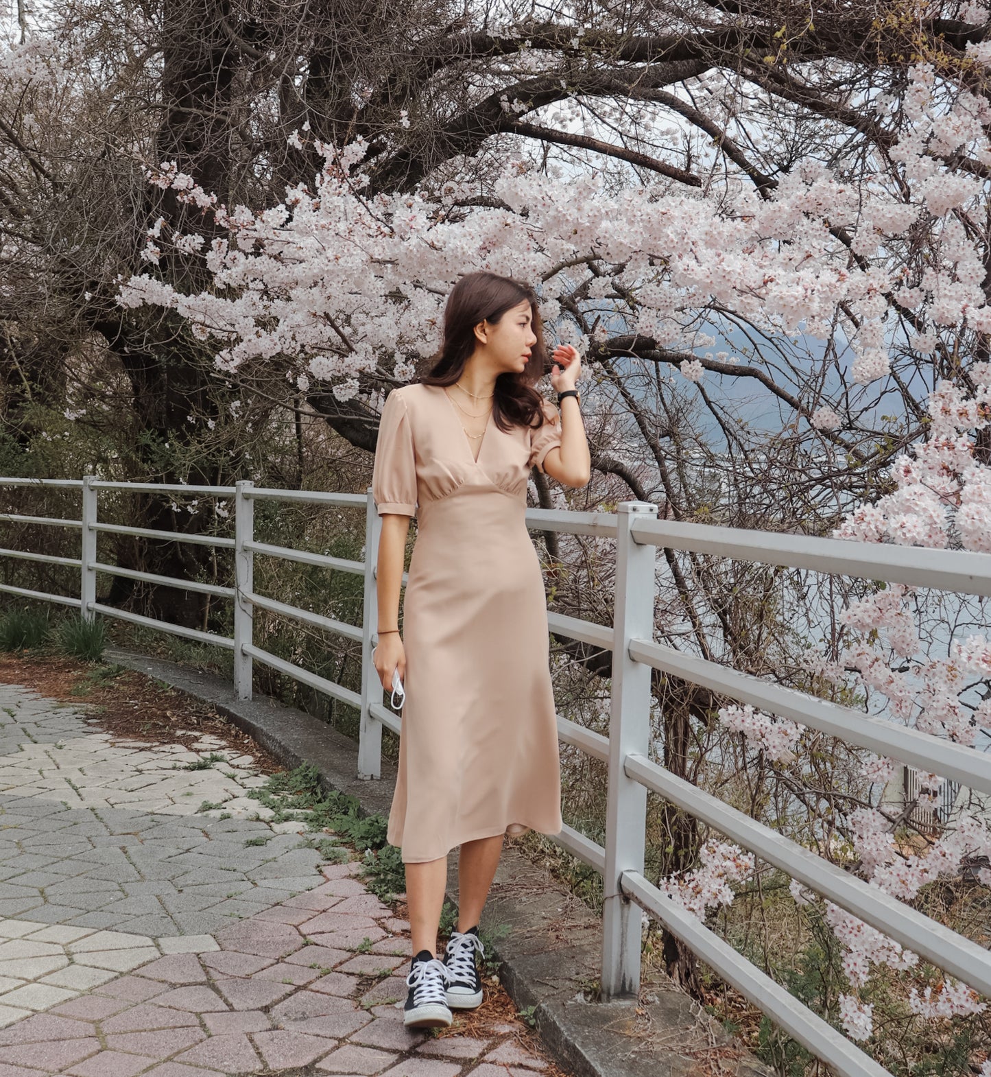 VIDA CHIFFON DRESS
